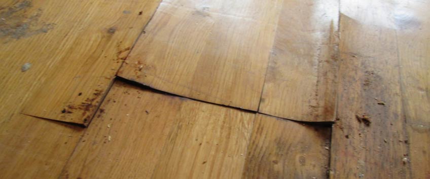 Your hardwood floor is water damaged – can you tell?