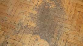 Reliable parquetry repair